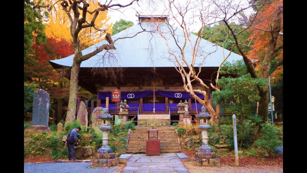 JG☆☆☆4K 栃木  西明寺(重文) 晩秋の紅葉 Tochigi,Saimyoji in Autumn