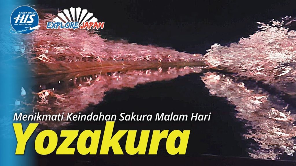 Menikmati indahnya Sakura Malam Hari di Hirosaki Jepang Menikmati indahnya Sakura Malam Hari di Hirosaki Jepang