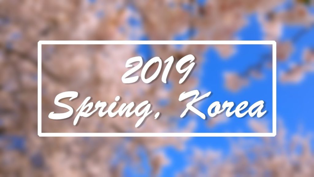 Spring in Korea (Smartphone Cinematic) | Minute Travel