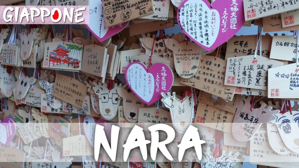 NARA: andiamo a incontrare i cervi più famosi del Giappone 🦌 | Travel Duo
