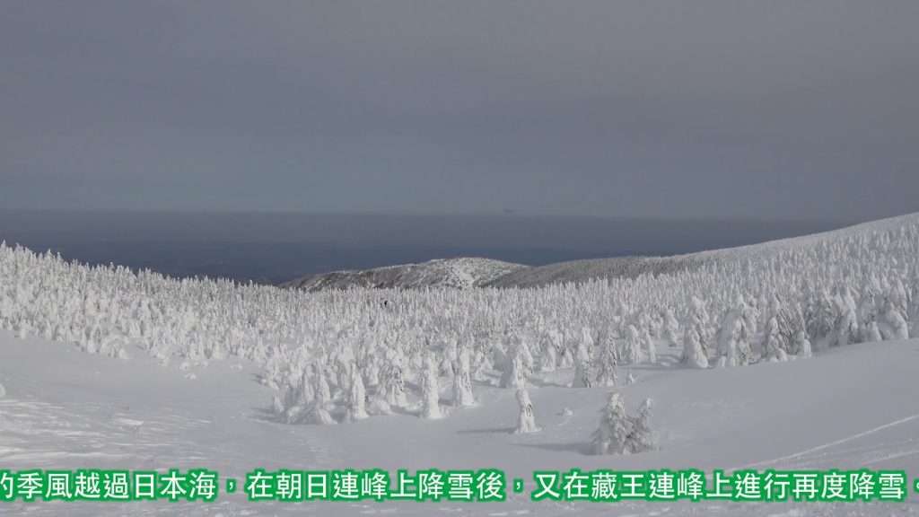 YOKOSO Japan Tour -- 藏王的樹冰 --C14