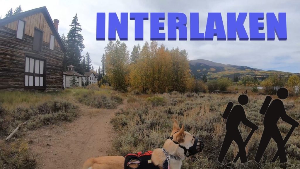 Interlaken an abandoned resort at Twin lakes Colorado hiking with a Belgian Malinois husky mix Interlaken an abandoned resort at Twin lakes Colorado hiking with a Belgian Malinois husky mix