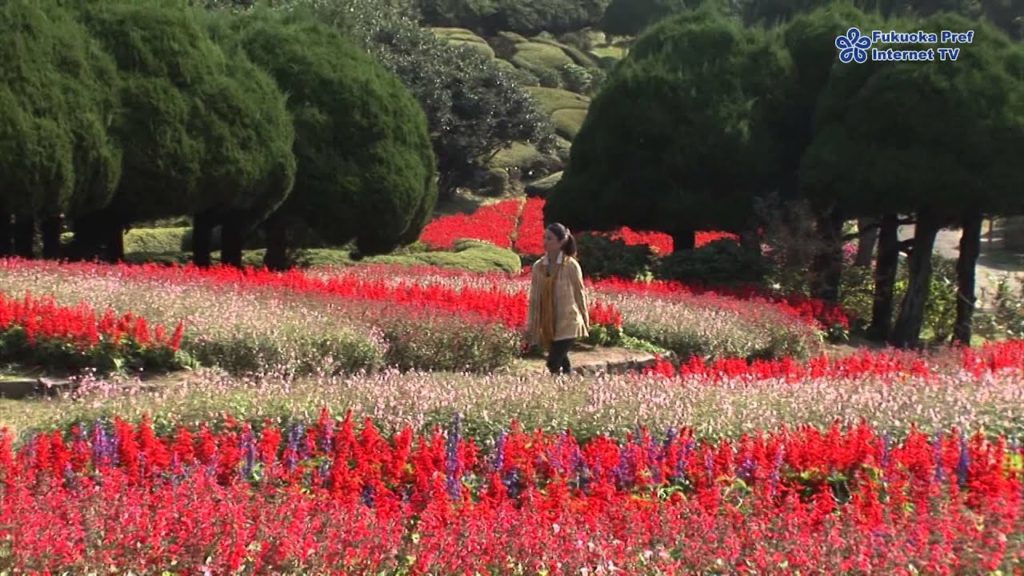 By Fukuoka Water-bus, Fuku-haku Minato Deai Boat. let's go to Nokonoshima Island!