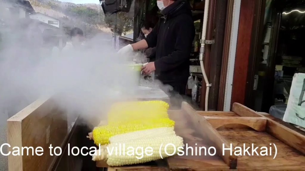 Oshino hakkai village next to Mt.Fuji (Japan)