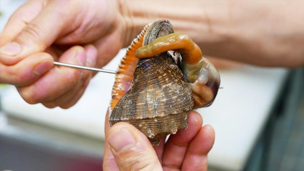 Korean Street Food - GIANT SEA SNAILS Seaweed Rolled Omelet Korea