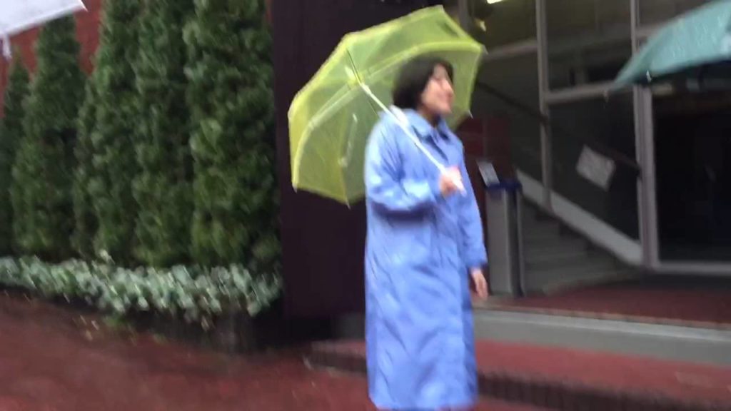 Nikka, Whisky, Factory, Tour, Sendai, Japan