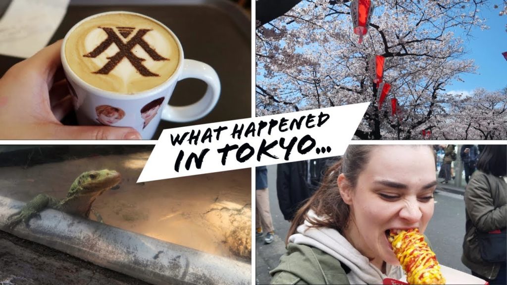WHAT HAPPENED IN TOKYO | Tokyo Spring 2019