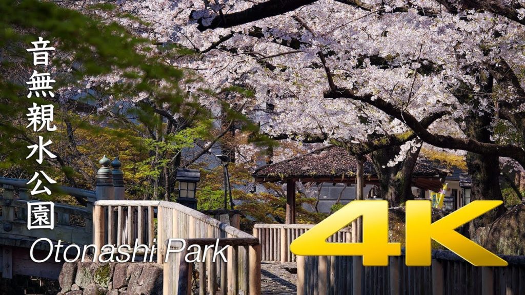 [Sakura] Otonashi Shinsui Park - Tokyo - 音無親水公園 - 4K Ultra HD