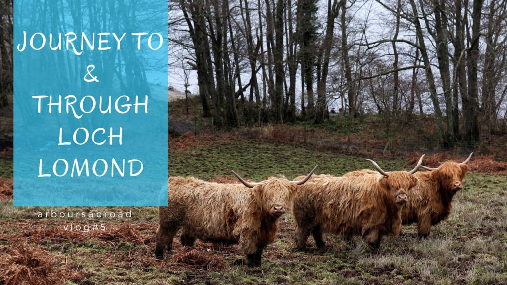 Exploring Loch Lomond and The Trossachs National Park | Scottish Lowlands & Highlands | vlog#5