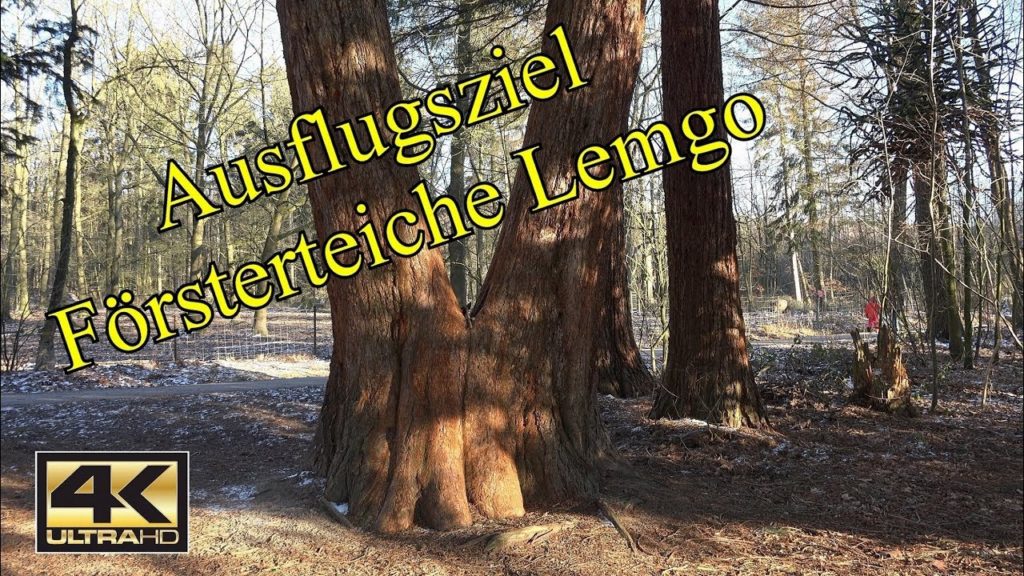 Ausflugsziehl, Försterteiche Lemgo, mit Wildgehege und Rundwanderwege. 4K