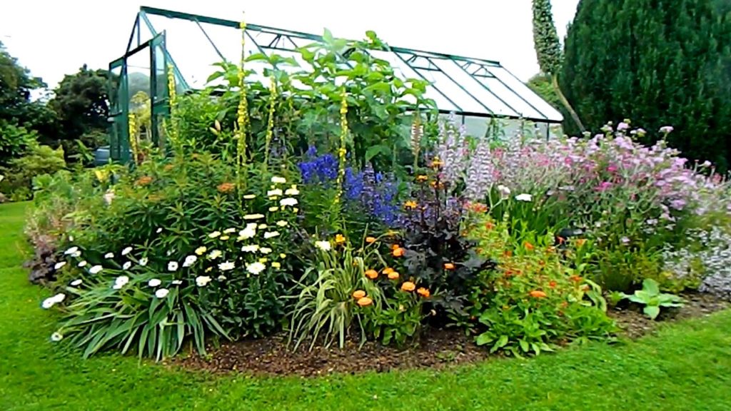 Two Minutes of Douentza in July - Wexford Open Garden