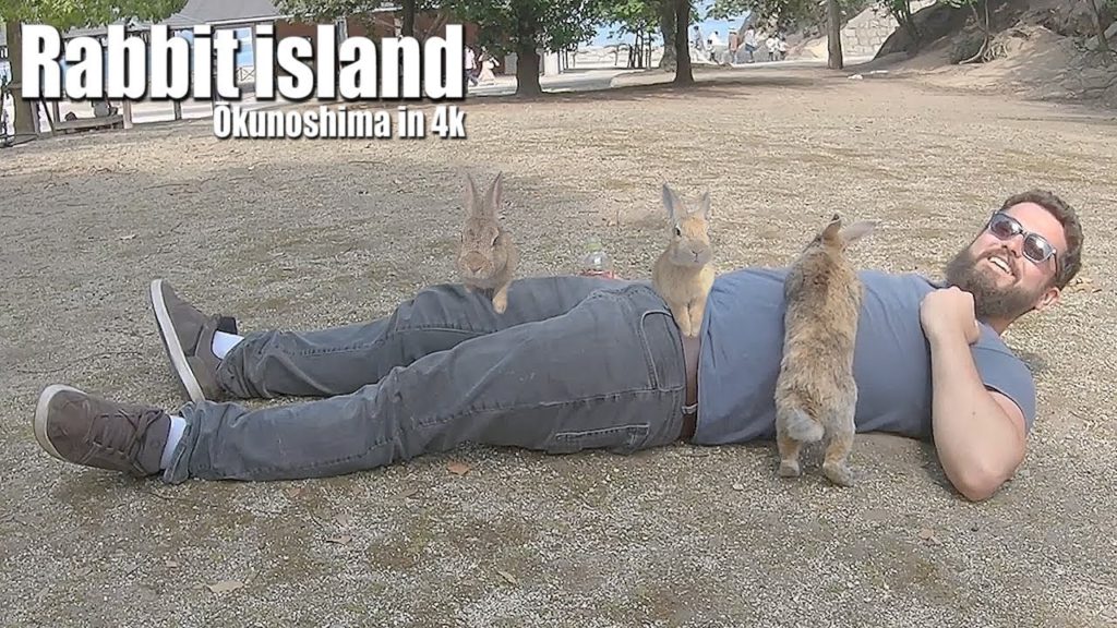 Journey to Rabbit Island! 🐰🌴| Okunoshima in 4K
