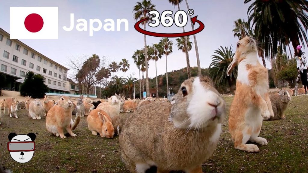 🇯🇵 360° Rabbit Island | Okunoshima, Japan