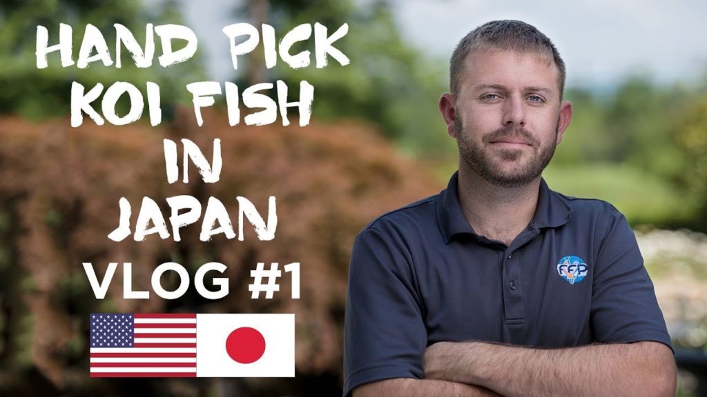 Going to Japan to Hand Pick Epic Koi Fish - VLOG #1