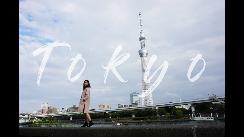 Tokyo, Japan |Travel Diary|