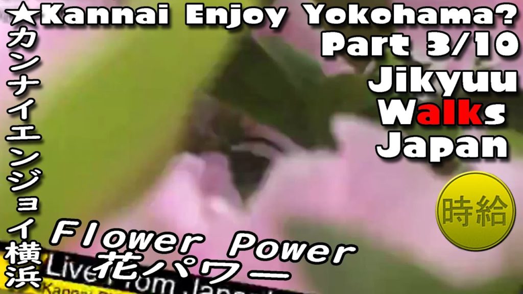 Flower Power – Kannai Enjoy Yokohama? Pt 3/10 Jikyuu Walks Japan 時給は日本を散歩 カンナイエンジョイ横浜? 花パワー Flower Power - Kannai Enjoy Yokohama? Pt 3/10 Jikyuu Walks Japan 時給は日本を散歩 カンナイエンジョイ横浜? 花パワー