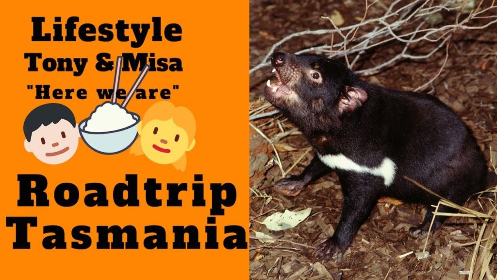 ROADTRIP TASMANIA Lifestyle Tony and Misa