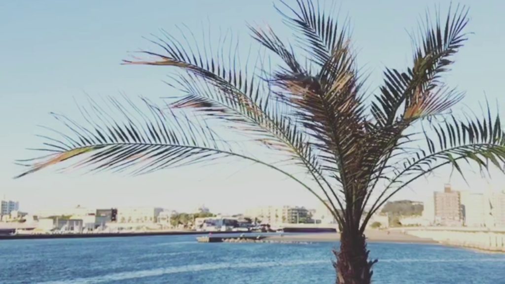 JapaLoco - From Japan to the World