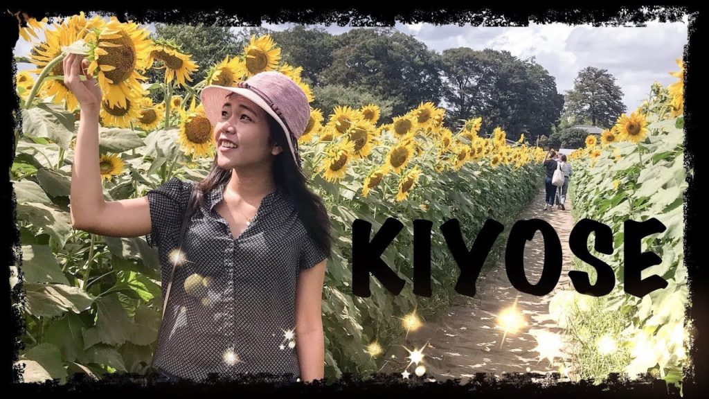 Kiyose Sunflower Festival, Tokyo || Exploring Japan Series