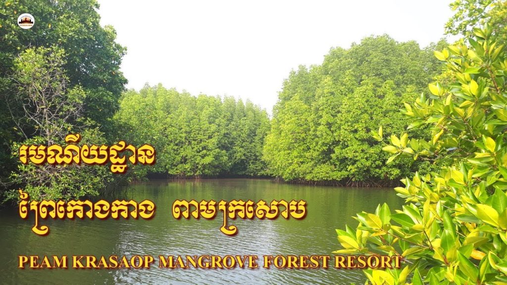 Mangrove Forest Resort – Angkor Wat Tours – Tours of Cambodia – Phnom Penh Travel Mangrove Forest Resort – Angkor Wat Tours – Tours of Cambodia – Phnom Penh Travel