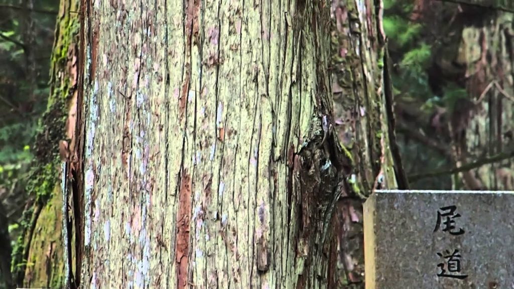 Road trip in Japan - Hiroshima / Mont Koya / Kobe / Himeji [HD]