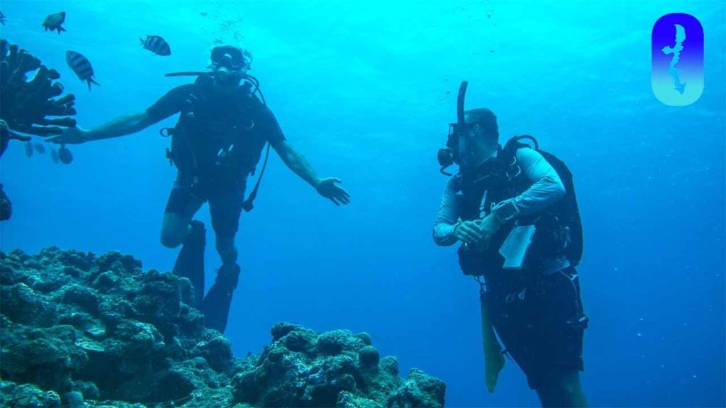 Doing Our Open Water Course