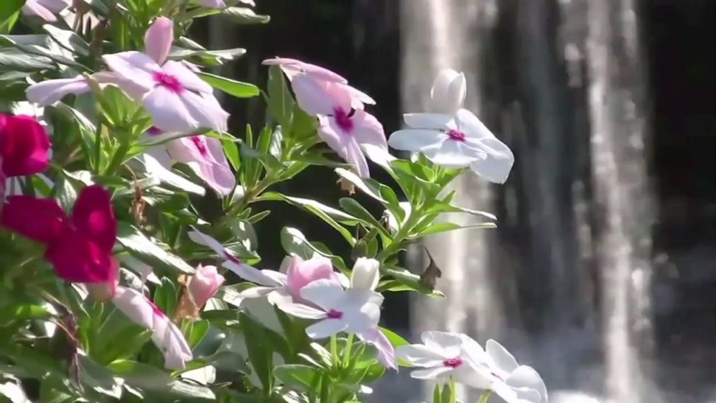 Herrington Harbour - Eco-Lifestyle Marina Resort