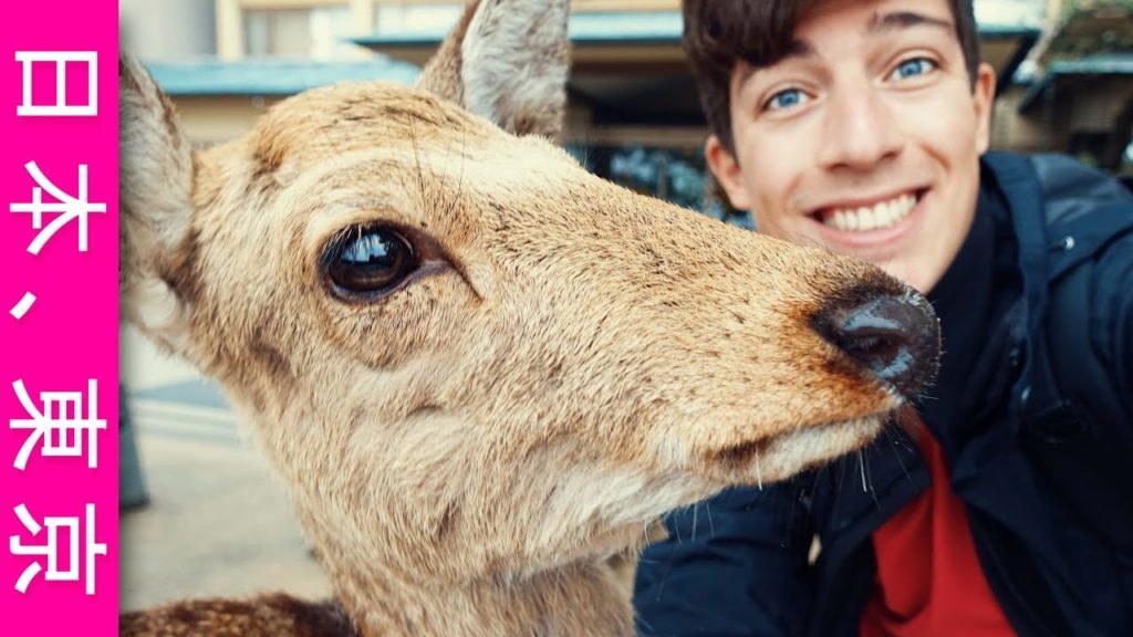 L'isola dei cervi - Giappone 2017