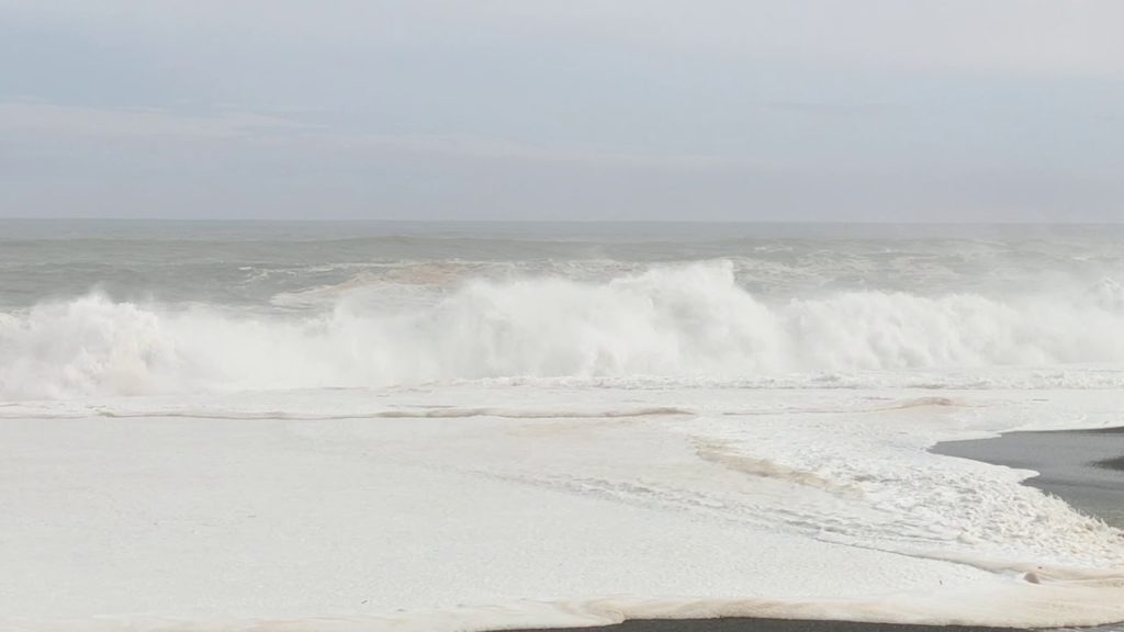 Hagibis sends waves to Shikoku(4)