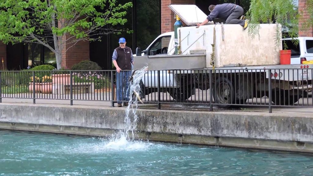 Fish 'planted' in Fairfield pond for Kids Day of Fishing derby