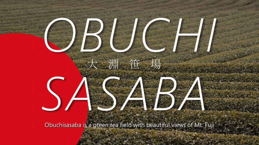 Obuchi Sasaba (大淵笹場)