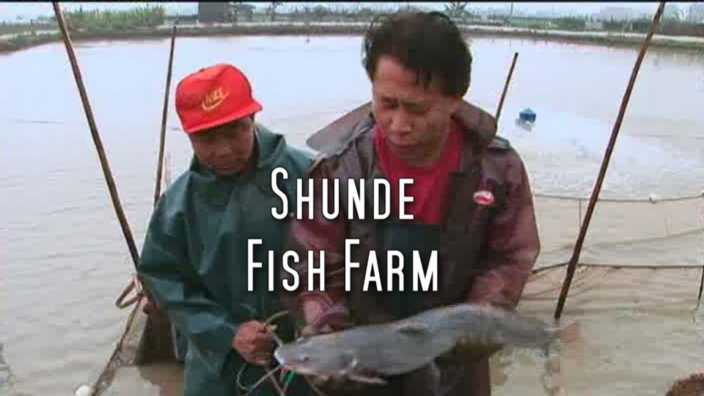 Martin Yan's China: Shunde Fish Farm