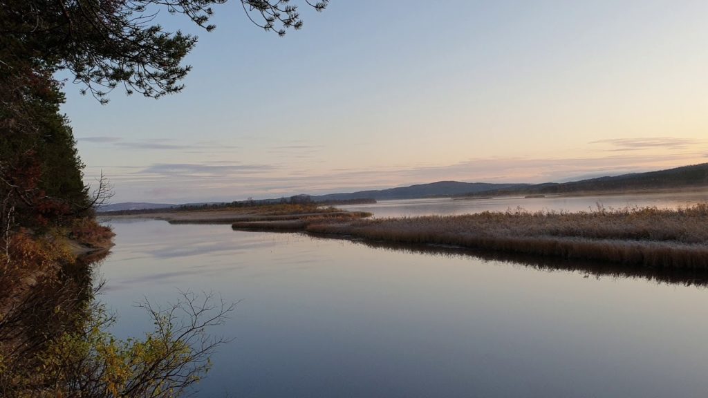 Relaxing view from Pasvikdalen - Shinrin-yoku in Norway