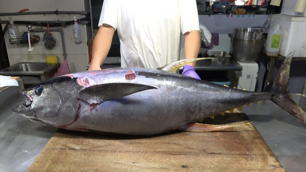YELLOWFIN TUNA CUTTING SHOW & SUSHI  SASHIMI MEAL   Taiwanses Street Food