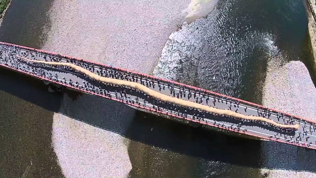 【NIIGATA-SORADORI】大したもん蛇まつり　大蛇に込めた村人の想い　関川村