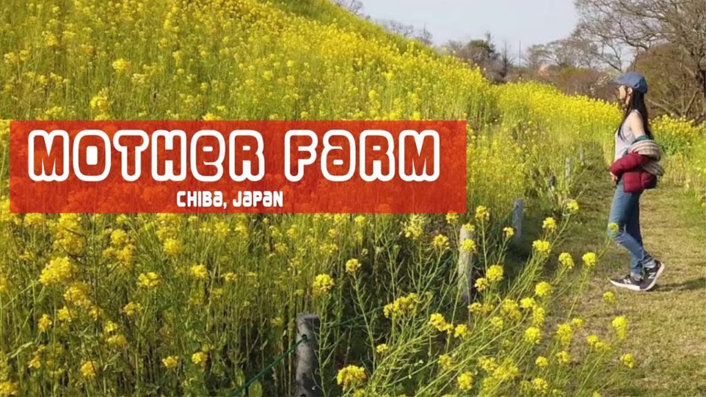 Mother Farm, Chiba Japan | 30-day Japan Trip  #4