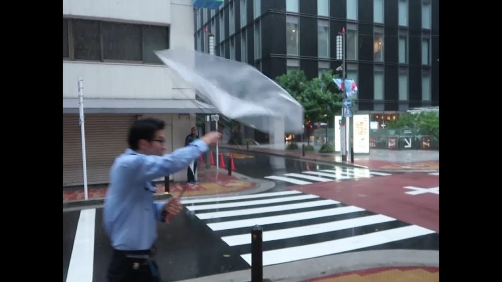 HAGIBIS TYPHOON TOKYO OCTOBER 2019 - FARAH NURJANNAH