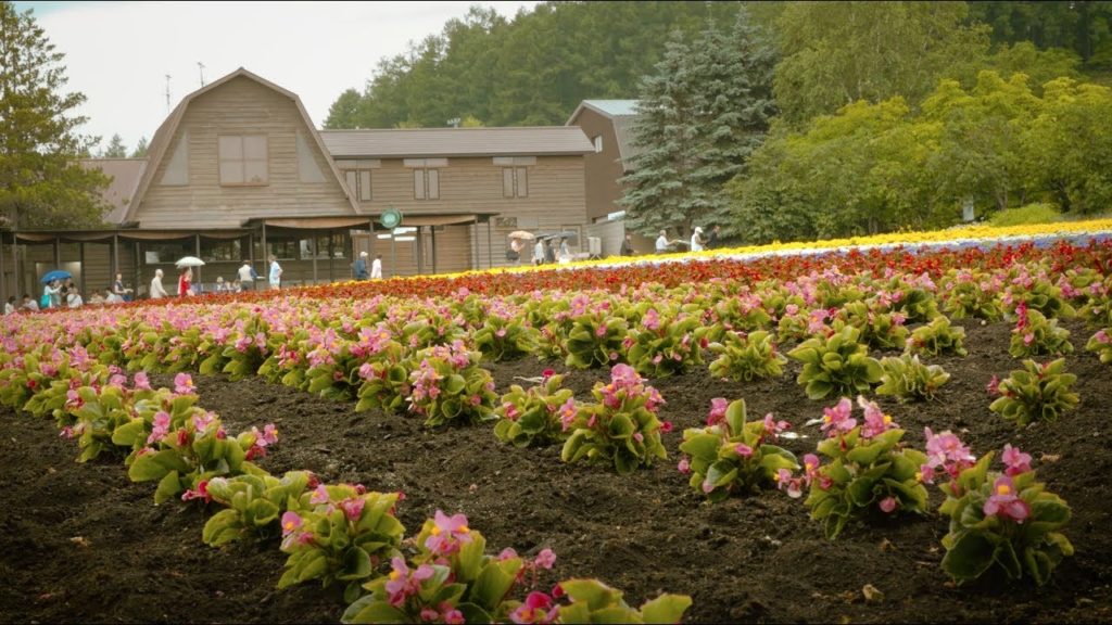 Hokkaido Impressions 北海道
