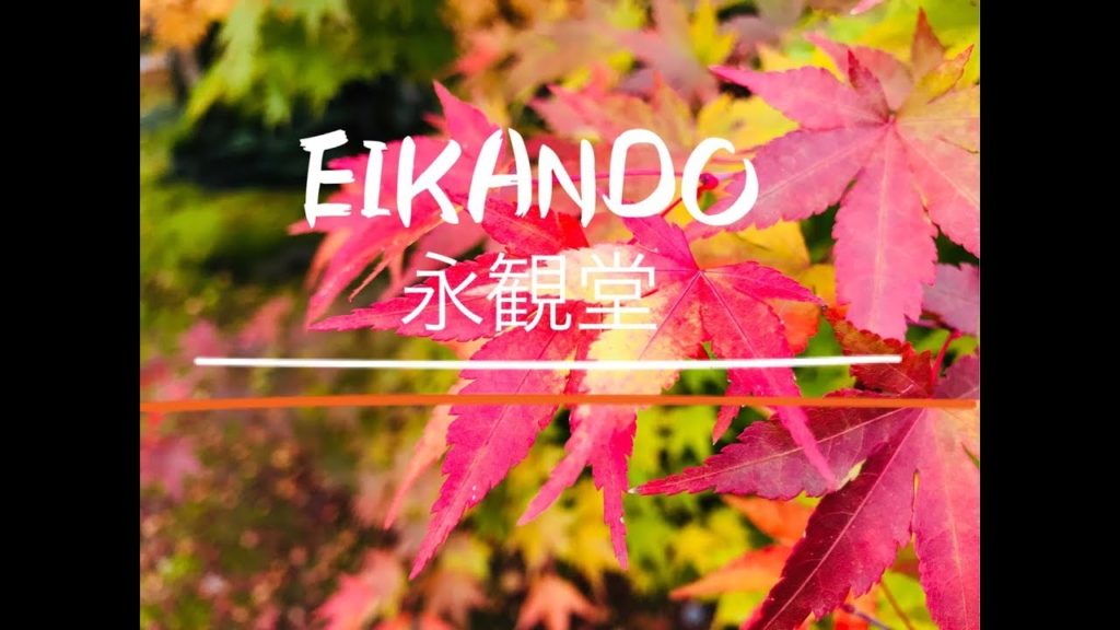 Eikando Zenrinji Temple• 永観堂 • 京都 • 秋紅葉 • Autumn • Kyoto Travel • Japan Guide Eikando Zenrinji Temple• 永観堂 • 京都 • 秋紅葉 • Autumn • Kyoto Travel • Japan Guide