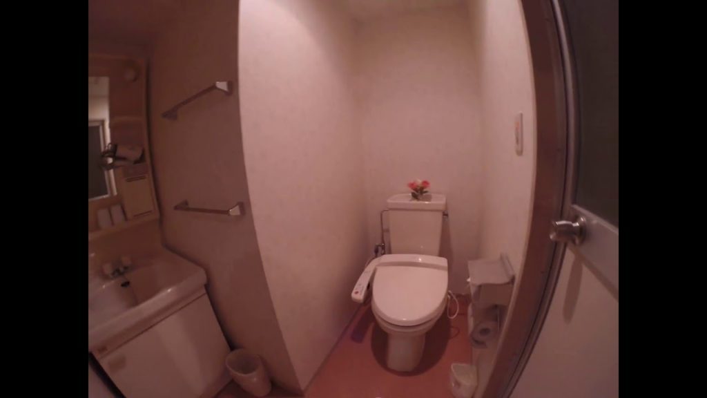 Japan Apr 2016 review Fujinobo kaen hotel ryokan style