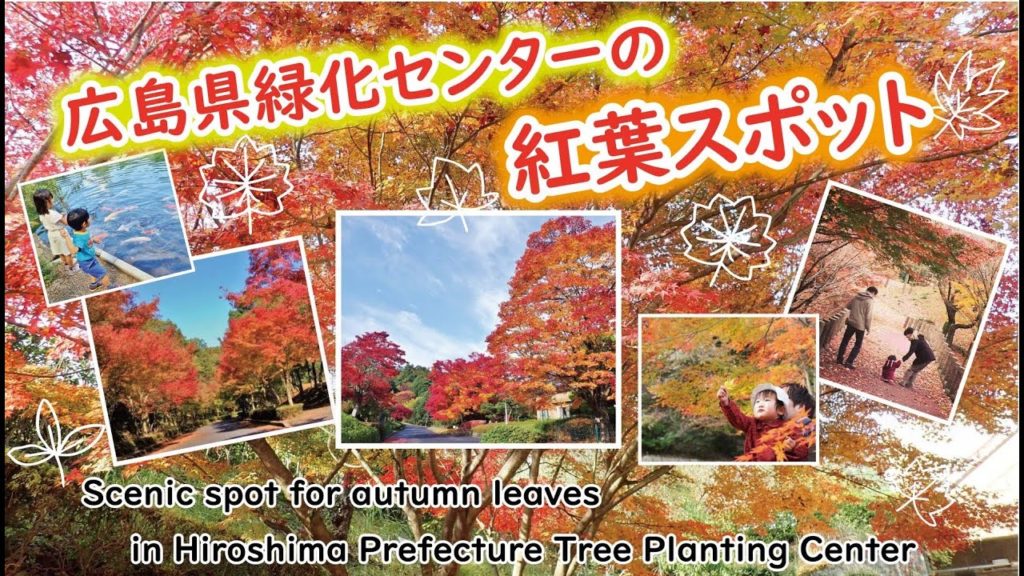 広島県緑化センターの紅葉スポット～Scenic spot for autumn leaves in Hiroshima Prefecture Tree Planting Center～