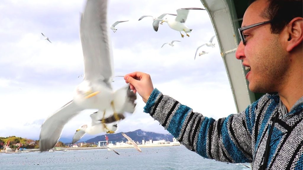 Super Cozy Restaurant in Oshima Island 大漁丸