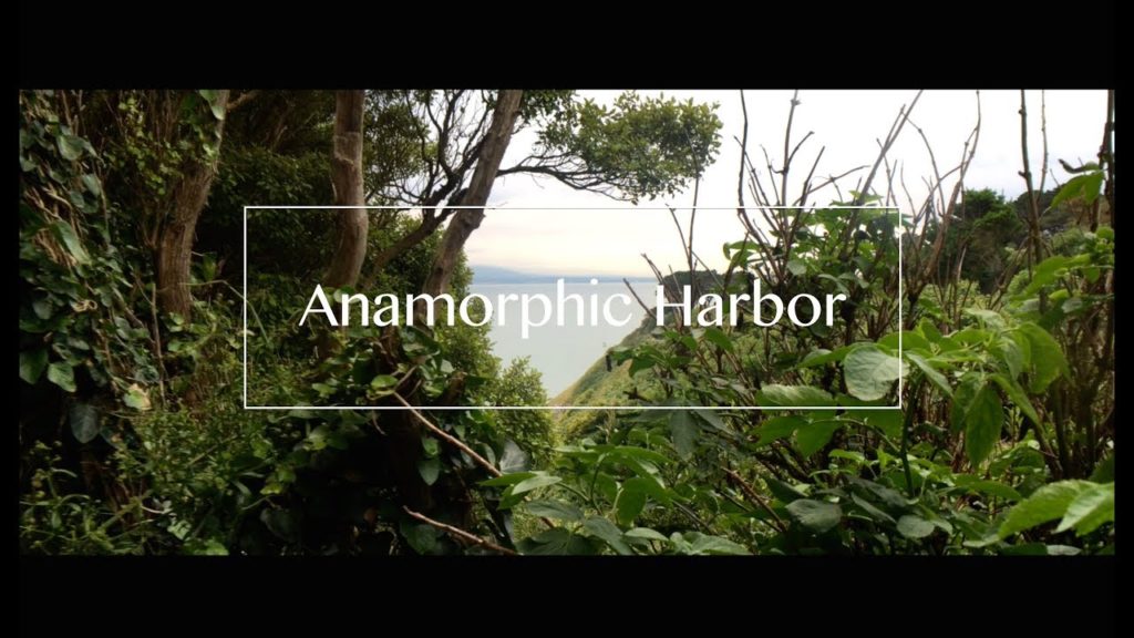 Anamorphic Harbor - iPhoneSE with Moondog Labs Anamorphic Lens