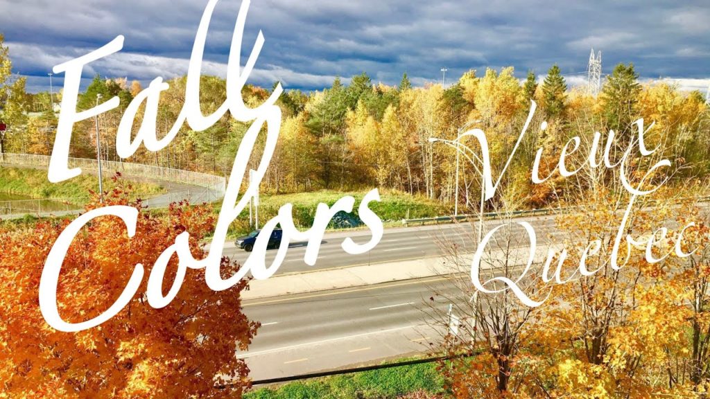 AUTUMN IN QUEBEC  |  FALL FOLIAGE  |  ROAD TRIP  |  4K