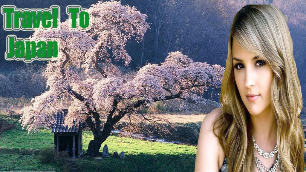 Travel To Japan | Japan Travel Guide | Japan Trip | Full Documentary and History About Japan