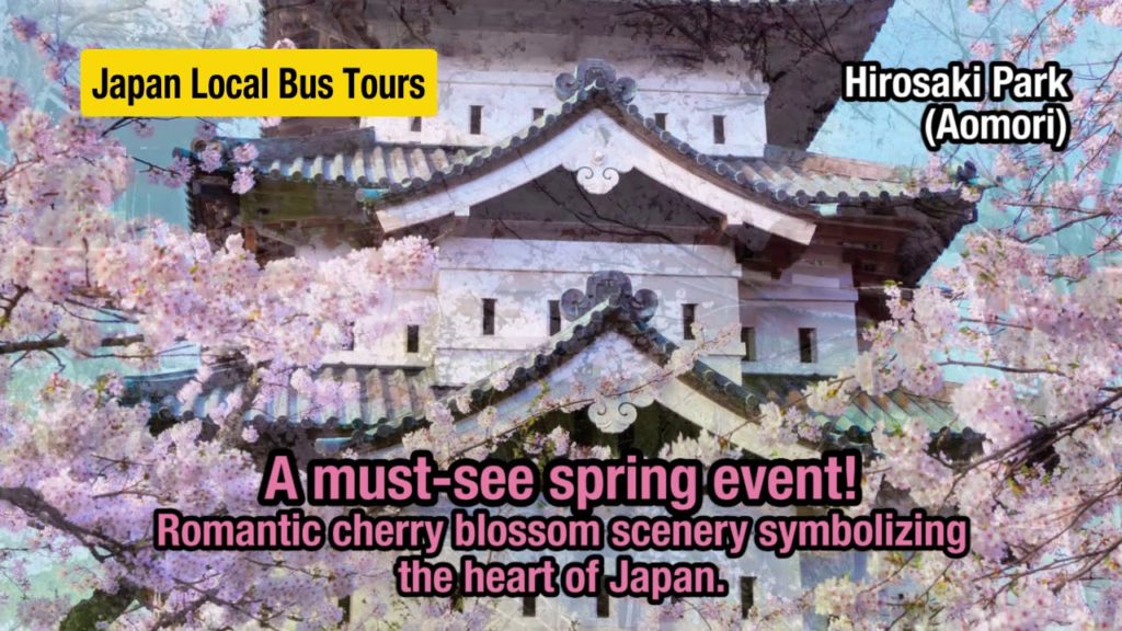 YOKOSO Japan Tour -- Sakura(Cherry blossoms)