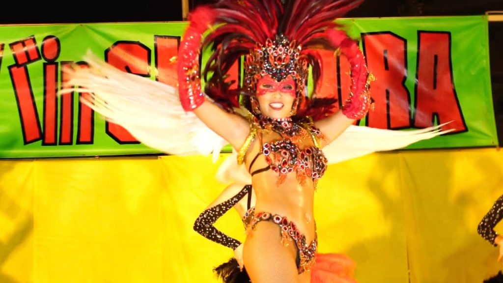 【4K】2019 サンバカーニバル　志村銀座まつり サンバin志村 #8  / TOKYO Samba Carnival Japanese Beauty