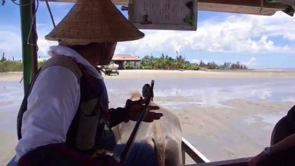 Okinawa: From Iriomote to Yubu Island