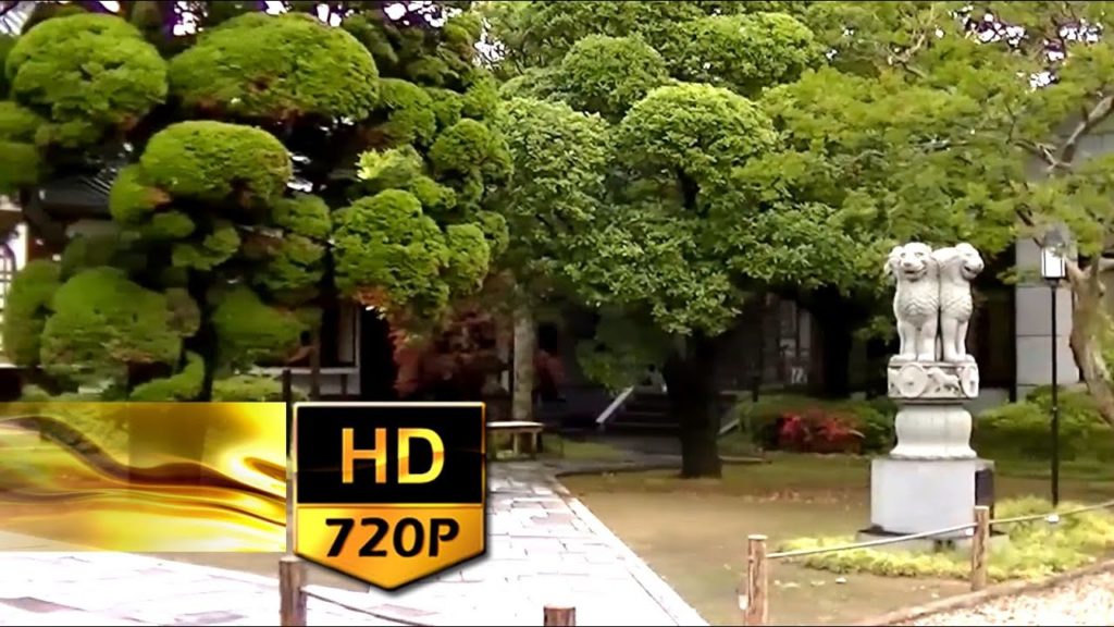 188. Walking at Hayashimatsu Temple in Sendai City - Japan