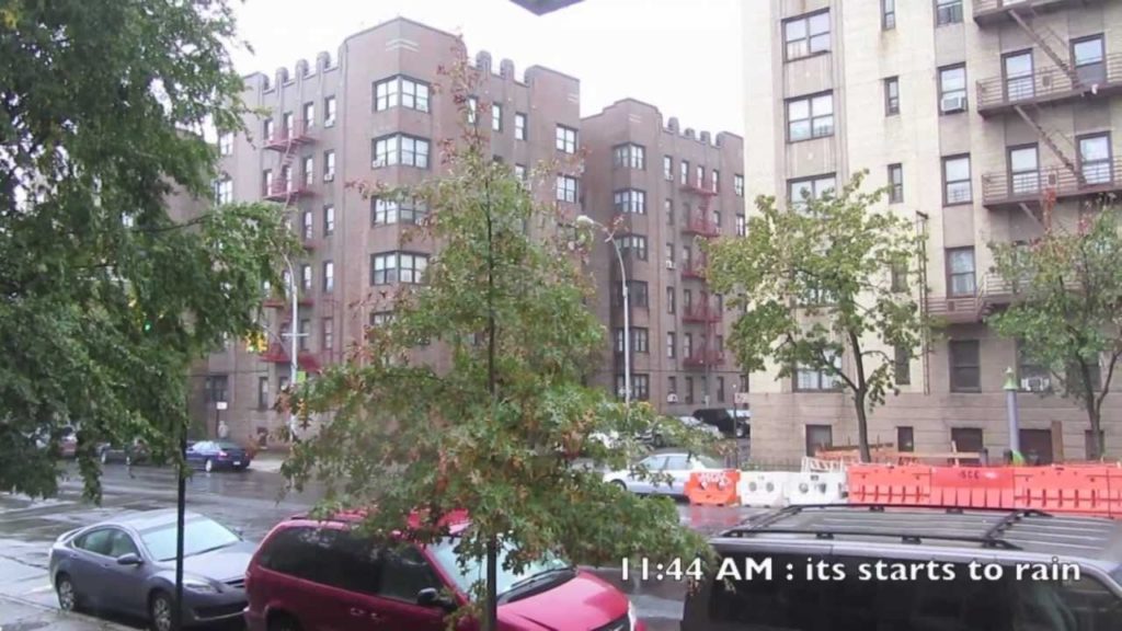 Chronicles of Hurricane Sandy in the Bronx